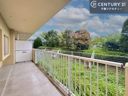 oRj[ zǍDȃoRj[łIꂽɂ͐nJIȎԂy߂܂B
̂󕨂؂ɊƂł܂