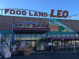 ӊ yX[p[zt[hhI_cXF1158m