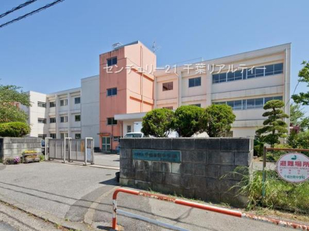 ӊ ywZzts쒆wZF490m