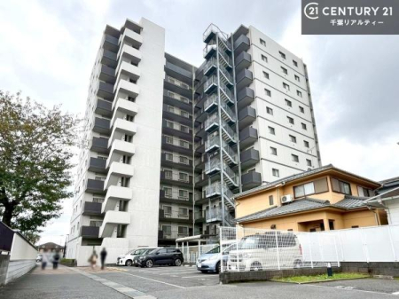 ̑n T̂Ev]EȂǁAȂƕЃX^bt܂ł\tIsYɊւ邱ƂȂAǂ̂悤ȂƂłSӑΉĒ܂B