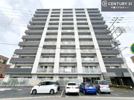 ̑n 邢͋C̕YIKȓ퐶܂I