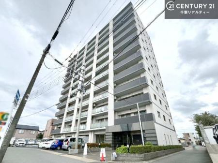 ̑n T̂Ev]EȂǁAȂƕЃX^bt܂ł\tIsYɊւ邱ƂȂAǂ̂悤ȂƂłSӑΉĒ܂B