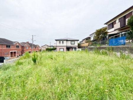 nynʐ^ DȃnEX[J[ŗẑƂĂ܂B
vႲ܂I
񂾂łȂAӊꏏɂēI
