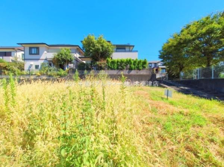 nynʐ^ ͂ɍȂ̂ŗz悭Kȕ炵閣͓IȊłI