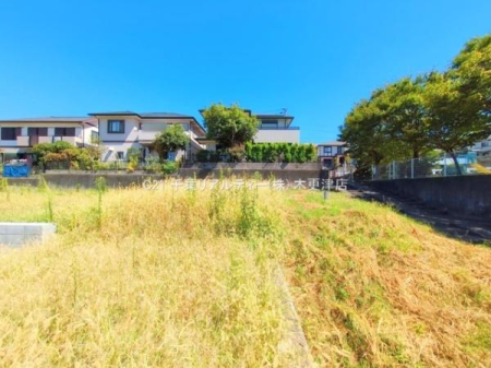 nynʐ^ u܂͎Iw͂܂ȁBvƂql劽}łIZ`[21tAeB[́ASĂ̂qlS͂ŃT|[gĒ܂BЈxA⍇B