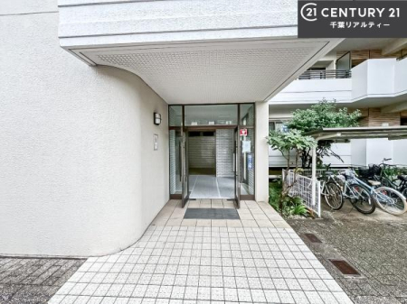 GgX ؂Ȃqlo}GgXBzǂSn̗ǂԂłB