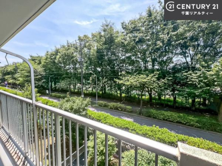 Z˂̒]ʐ^ ZXłI͂ɂ͍ȂA󂪍LJAz傫Ղ邱Ƃ܂IC̗ǂʂ蔲X݂łI