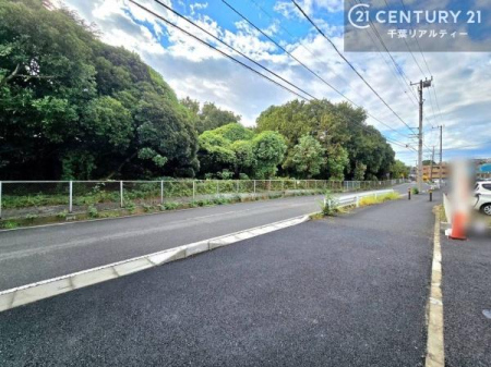 OʓH܂ތnʐ^ OʓH͍LXƂĂAԂ̏oNNBJӂ闧nŁASĕ点Z܂łB