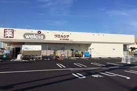 ӊ yhbOXgAzEGVAPYޗǗ֓XF1037m