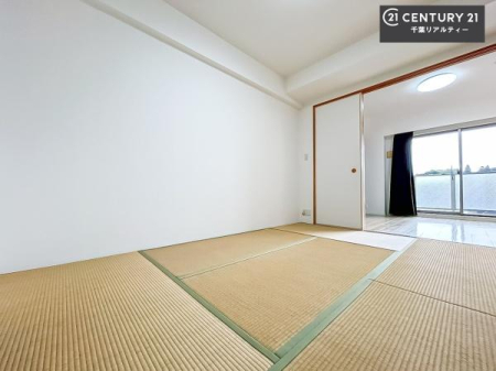 a ^^~̍肪炬^AbNXԁBĴaƂȂĂ܂B{l̐Suav̋ԁB䑐̍YԂ͖̂ЂƎoĂ܂I