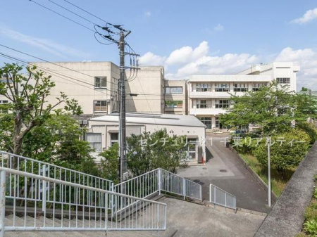 ӊ ywZzDs䒆wZF480m