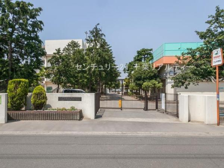 ӊ ywZzDsORwZF1440m