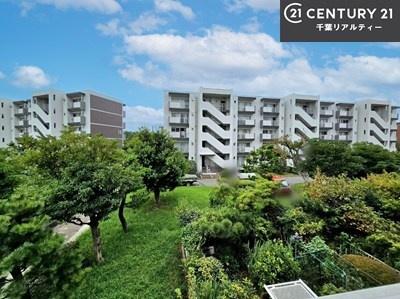 Z˂̒]ʐ^ ʃoRj[ŗʂiF\ł܂I