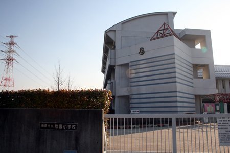 ӊ ywZzssqwZF1356m