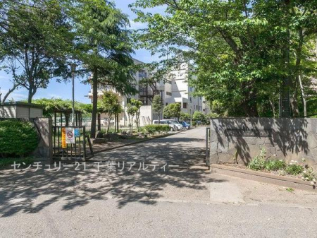 ӊ ywZzDsŎRwZF1100m