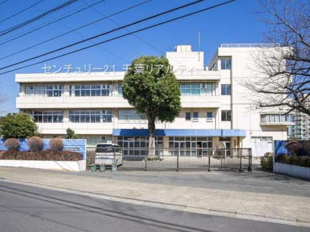 ӊ ywZzs㒆wZF437m