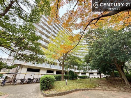 ̑n yn̔JÒz
zAʂǍDȗnłB񂨋Cyɂ₢킹B