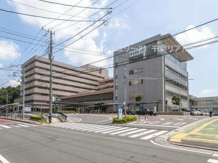 ӊ ya@zDsÃZ^[F733m