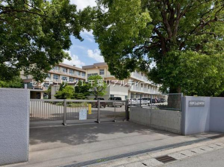 ӊ ywZztsRwZF2074m