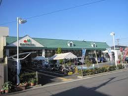 ӊ yX[p[z}GcÓcXF741m