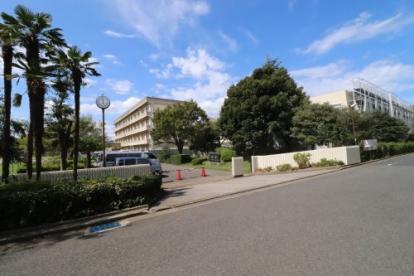 ӊ ywZzqswZF1026m