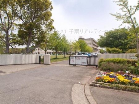 ӊ ywZzqs쒆wZF398m