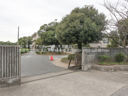 ӊ ywZzss䒆wZF850m