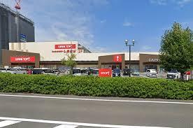 ӊ yX[p[zNsTOPDOXF550m