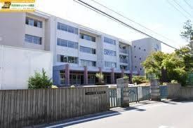 ӊ ywZzԔsԒwZF4140m