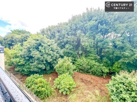 Z˂̒]ʐ^ ꂽɂ͐nJIȎԂy߂܂BC̗ǂʂ蔲X݂łI