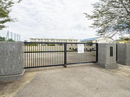 ӊ ywZzts쏬wZF350m