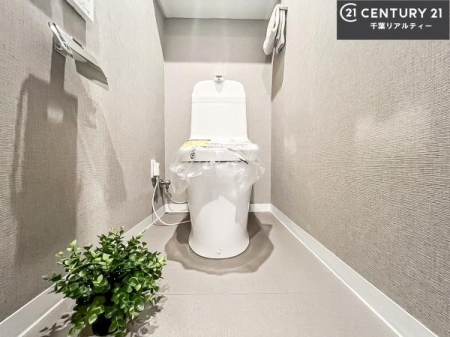 gC ֍ɂA~͕֍gł̂ŗ₽֍ɍ炸ɍςފdlłI