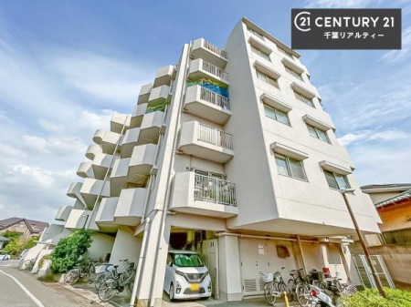 ̑n zAʂǍDȗnłB񂨋Cyɂ₢킹B