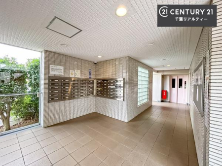 GgX ؂Ȃqlo}GgXBLXĂĊJ܂ˁI