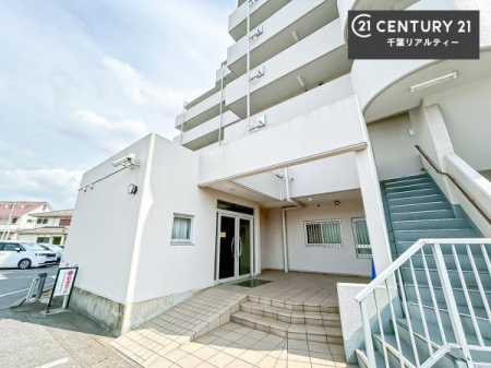 ̑n zAʂǍDȗnłB񂨋Cyɂ₢킹B