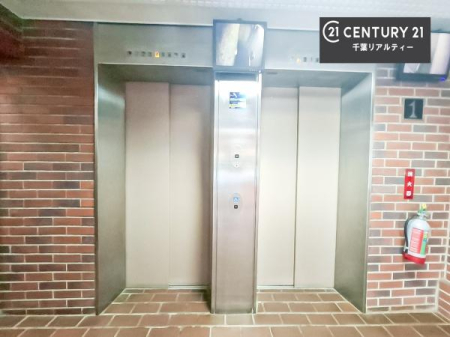 ̑p Gx[^[I񕨌~KłI
ɔꂽ◼ɂוł炭炭AłłˁB