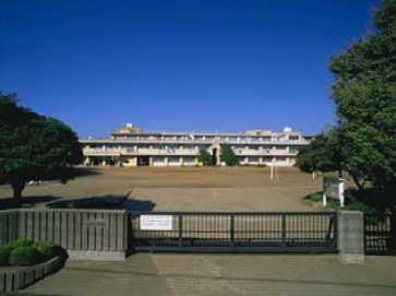 ӊ ywZztssꏬwZF610m