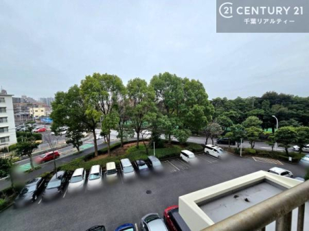 �Z�˂���̒��]�ʐ^ ���]�ǍD�ȃo���R�j�[�B���V�C�̂������ɂ̓o���R�j�[�ւłă��t���b�V������̂������ł��ˁI