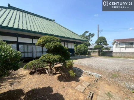 ̑n zAʂǍDȗnłB񂨋Cyɂ₢킹B