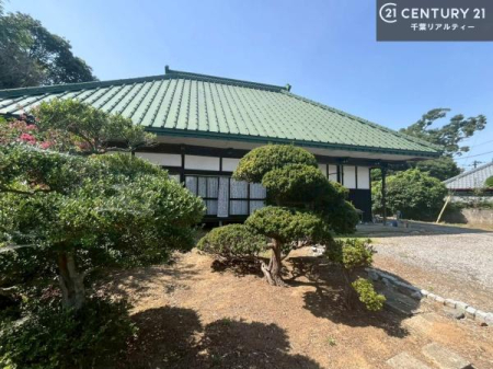 ̑n zAʂǍDȗnłB񂨋Cyɂ₢킹B