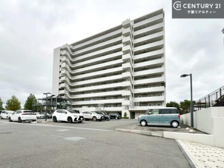 ̑n 낢Ȃ]܂Aql̂v]ǂǂB
X^bteؒJɂ܂I