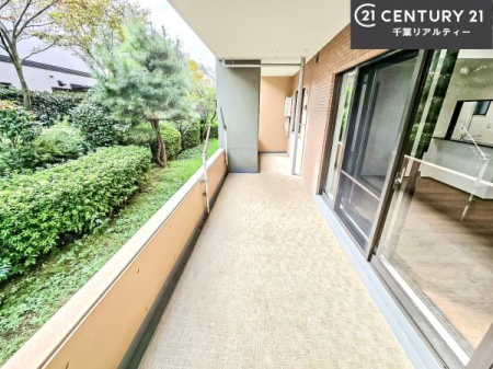 oRj[ LXƂoRj[ň̎n܂X^[gÎՂC悭܂I