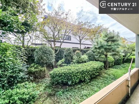 Z˂̒]ʐ^ ZXAC̗ǂʂ蔲X݂łB