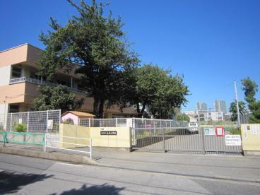 ӊ ywZzKusJÏwZF650m