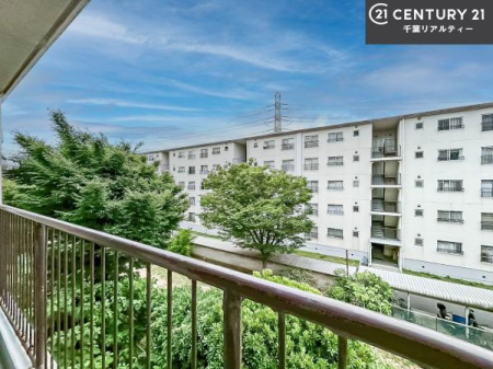 Z˂̒]ʐ^ ZXA͂ɂ͍ȂA΂󂪍LJ܂I
z傫Ղ邱Ƃ܂BC̗ǂʂ蔲X݂łB