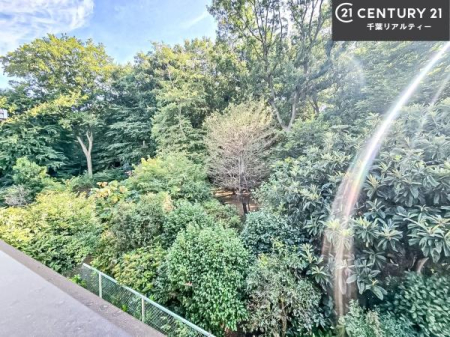 Z˂̒]ʐ^ ZXłI͂ɂ͍ȂA󂪍LJAz傫Ղ邱Ƃ܂IC̗ǂʂ蔲X݂łI