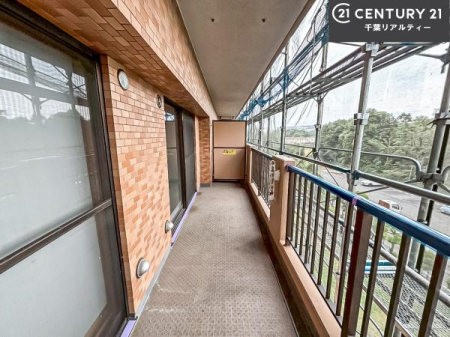 oRj[ zǍDȃoRj[łIꂽɂ͐nJIȎԂy߂܂B
