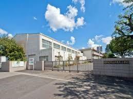 ӊ ywZzlXsaǔ䏬wZF180m