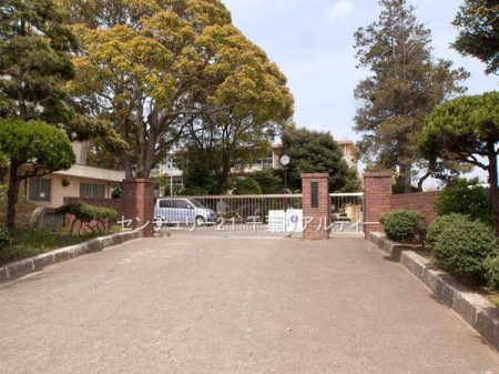 ӊ ywZzts෋wZF995m