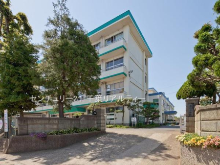 ӊ ywZztsᏼwZF763m